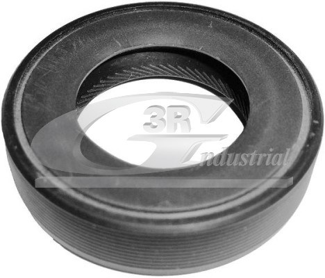 Shaft Seal, differential 3RG 80209