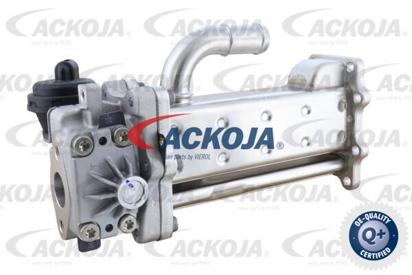 Cooler, exhaust gas recirculation ACKOJAP A52-63-0037 2