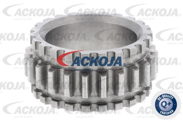 Timing Chain Kit ACKOJAP A52-10001-SP 8