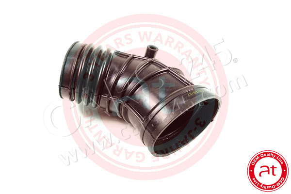 Intake Hose, air filter AT Autoteile Germany AT20273