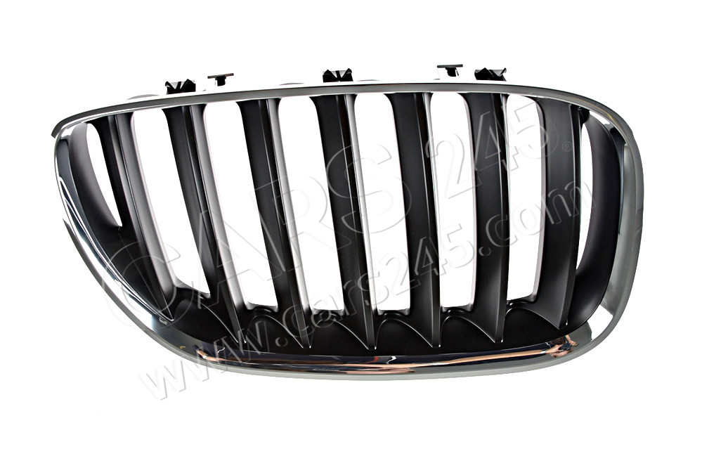 Grille, front, right BMW 51137113734