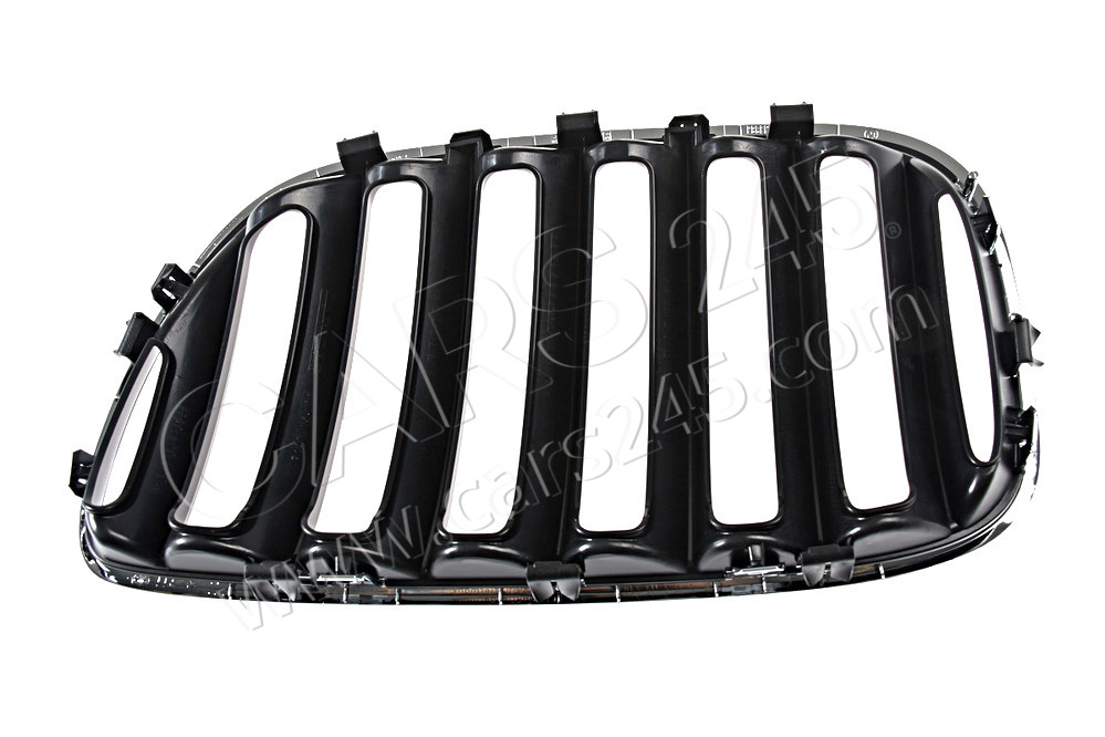 Grille, front, right BMW 51137113734 2
