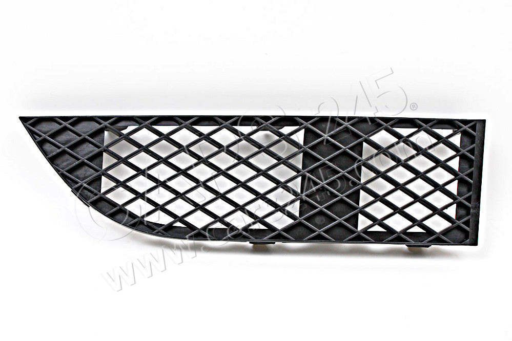 Grid lateral right BMW 51117135564