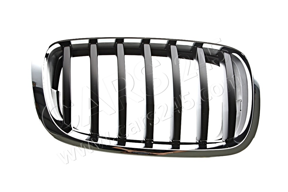 Grille, front, right BMW 51137305590