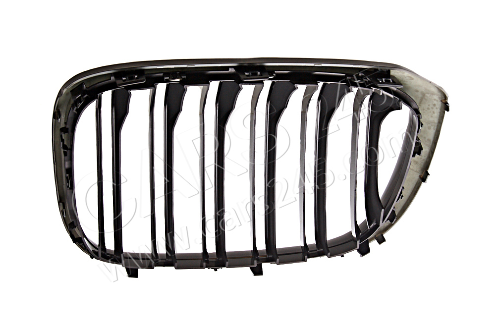 Grille, front, right BMW 51118098088 2