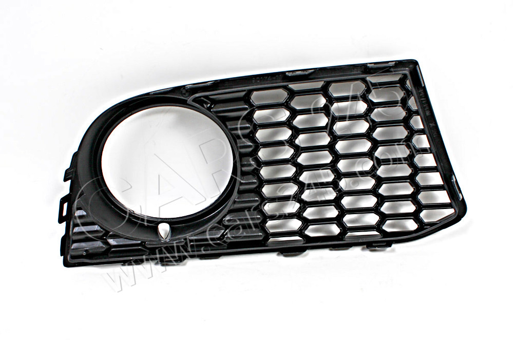 Grille, air inlet, left BMW 51117906197 2