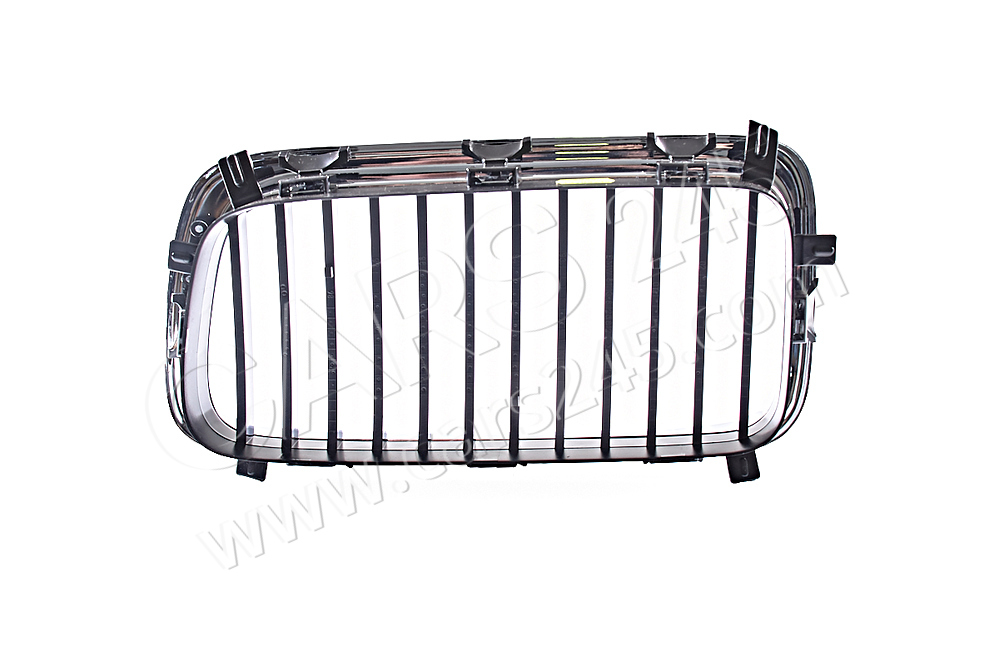 Grille right BMW 51138172280 2