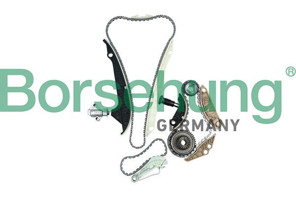 Timing Chain Kit Borsehung B16298