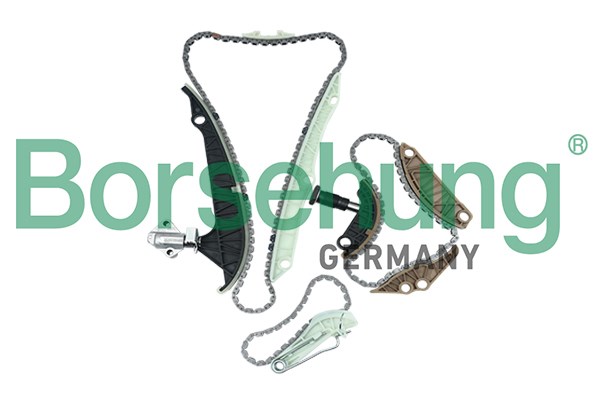 Timing Chain Kit Borsehung B18468