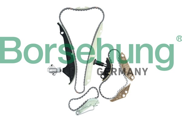 Timing Chain Kit Borsehung B10223