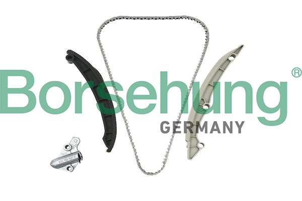 Timing Chain Kit Borsehung B19257