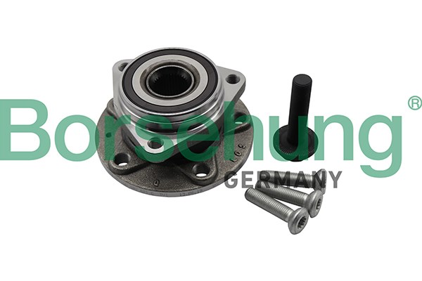 Wheel Bearing Kit Borsehung B19311