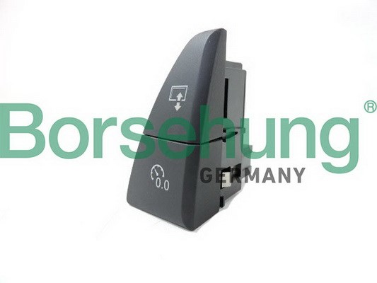 Multi-Function Switch Borsehung B18599