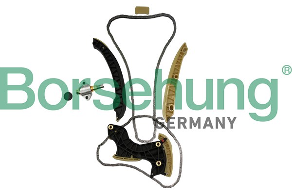 Timing Chain Kit Borsehung B19296