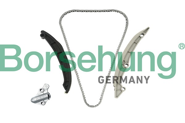 Timing Chain Kit Borsehung B18982