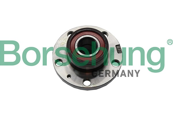Wheel Bearing Kit Borsehung B18297