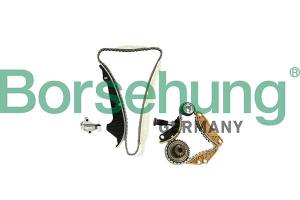 Timing Chain Kit Borsehung B10220