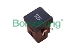 Multi-Function Switch Borsehung B18609