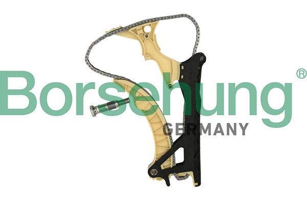 Timing Chain Kit Borsehung B18855