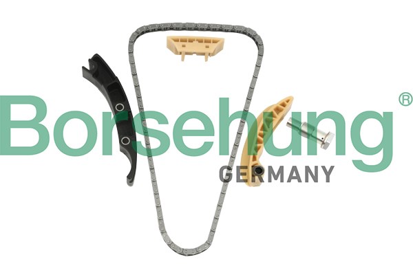 Timing Chain Kit Borsehung B10208