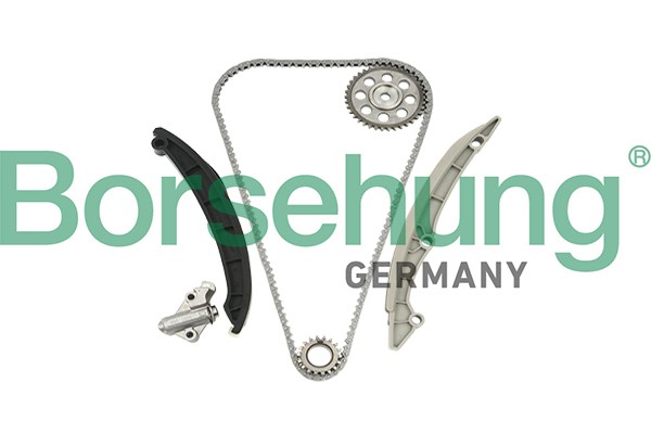 Timing Chain Kit Borsehung B18960