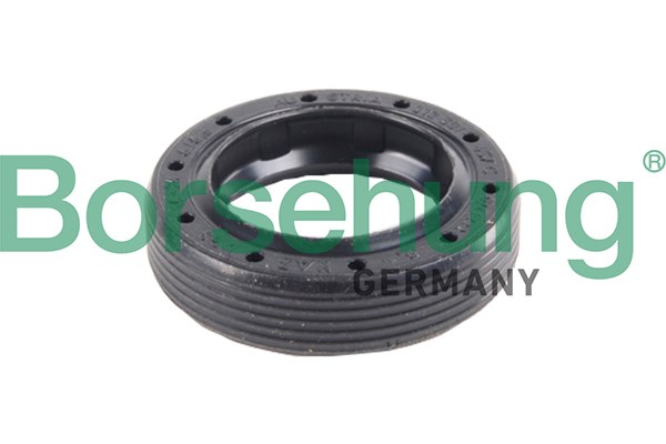 Shaft Seal, differential Borsehung B17838