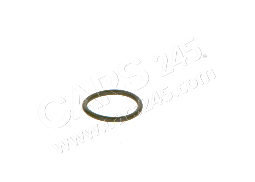 Rubber Ring BOSCH F00VC38041