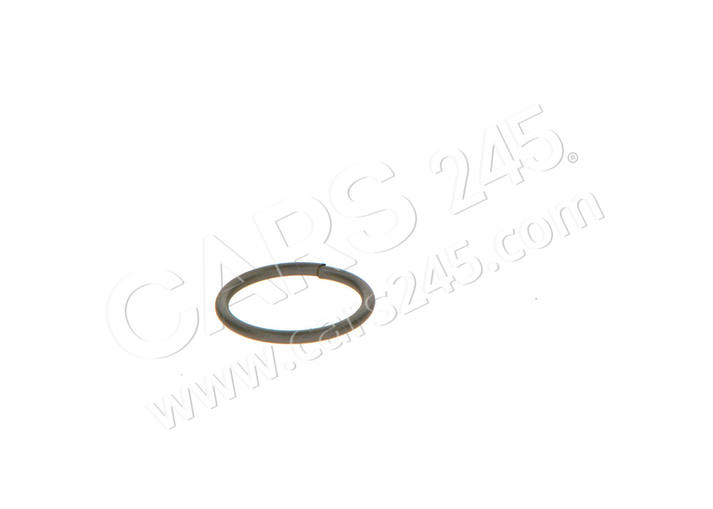 Seal Ring BOSCH F00VC23002 4