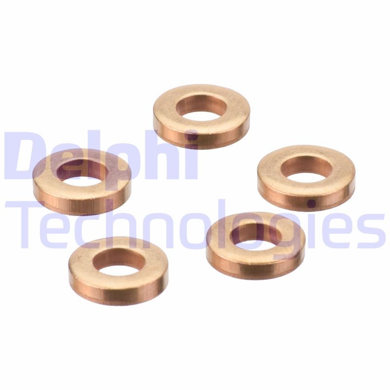 Seal Ring, injector DELPHI 9001-850C