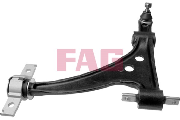 Control Arm/Trailing Arm, wheel suspension FAG 821043310