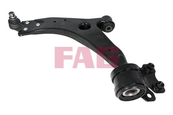 Control Arm/Trailing Arm, wheel suspension FAG 821089810