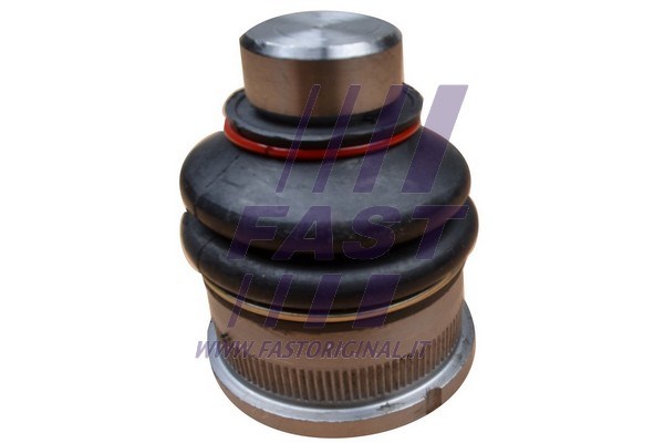 Ball Joint FAST FT17109