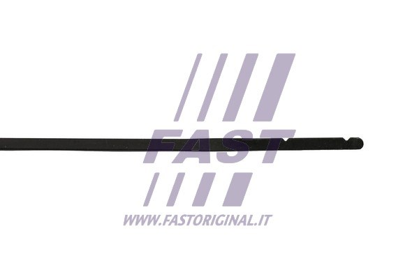 Oil Dipstick FAST FT80319 3