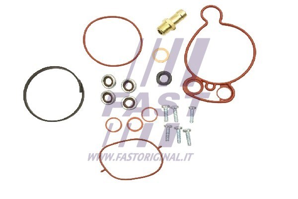 Repair Set, vacuum pump (braking system) FAST FT36031 2