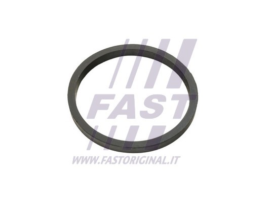 Seal Ring, oil cooler FAST FT49924