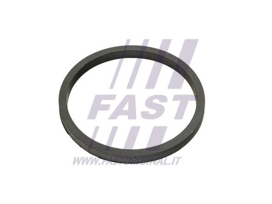 Seal Ring, oil cooler FAST FT49924 2