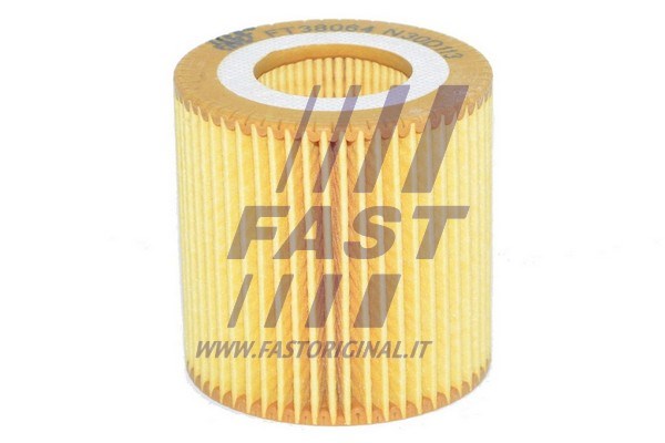 Oil Filter FAST FT38064