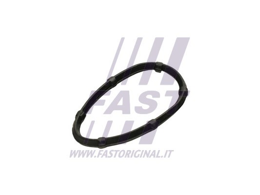 Gasket, exhaust manifold FAST FT49457