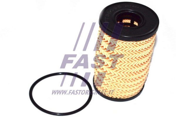 Oil Filter FAST FT38095