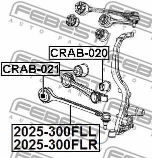 Control/Trailing Arm, wheel suspension FEBEST 2025300FLR 2
