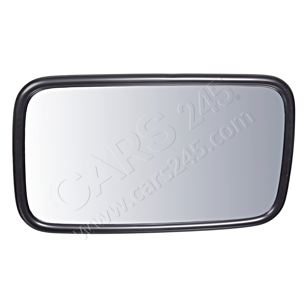 Exterior Mirror, driver cab FEBI BILSTEIN 101388