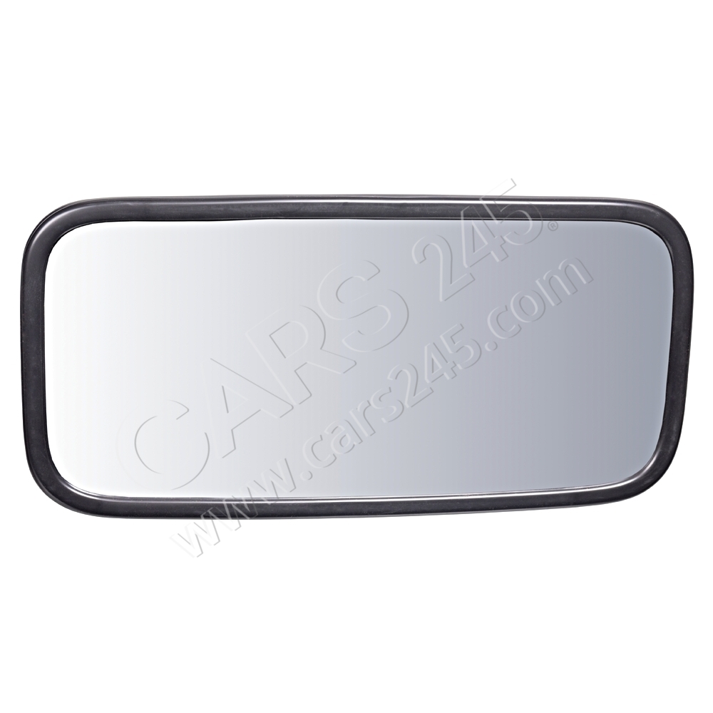 Exterior Mirror, driver cab FEBI BILSTEIN 100889