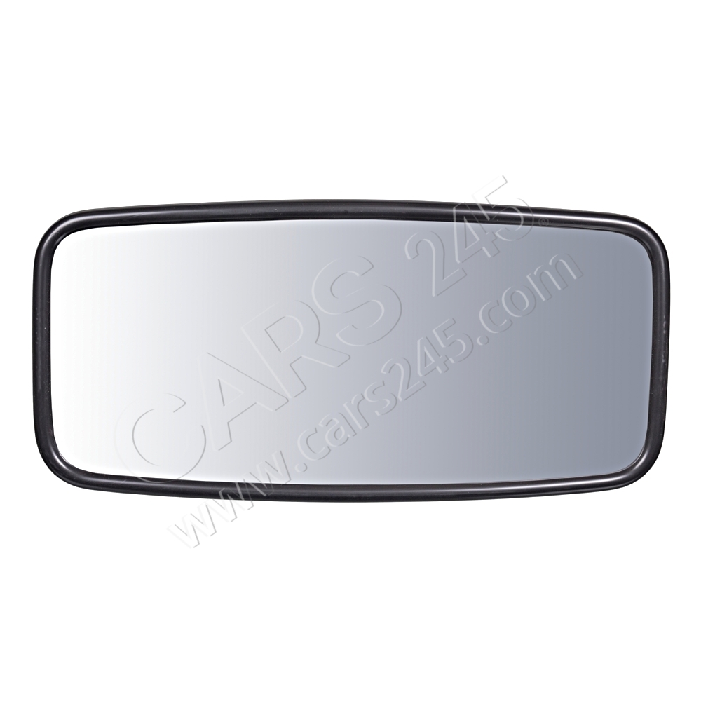 Exterior Mirror, driver cab FEBI BILSTEIN 100120