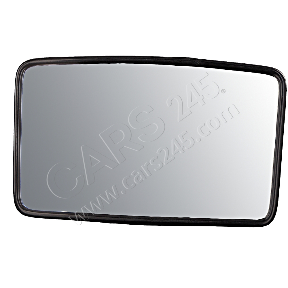 Exterior Mirror, driver cab FEBI BILSTEIN 102334 11