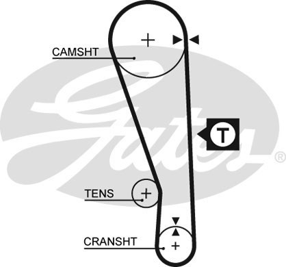 Timing Belt GATES 5036