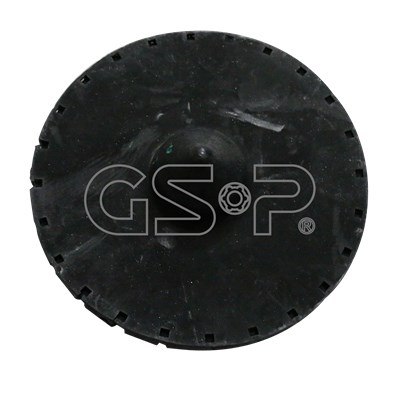 Spring Cap GSP 510202