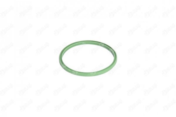 Seal Ring, charge air hose IBRAS 27237