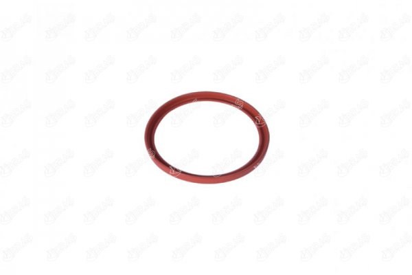Seal Ring, charge air hose IBRAS 11619