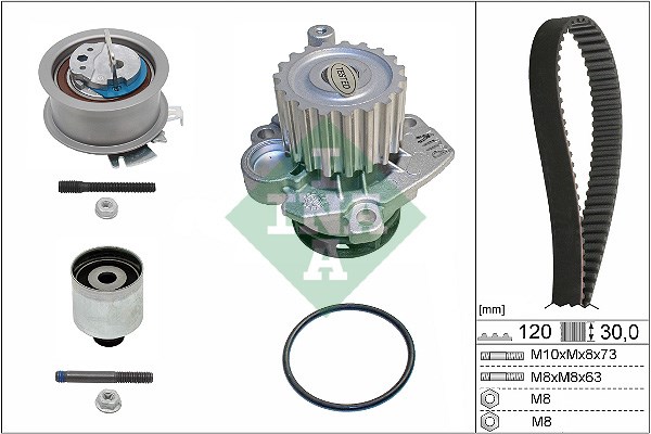 Water Pump & Timing Belt Kit INA 530020133