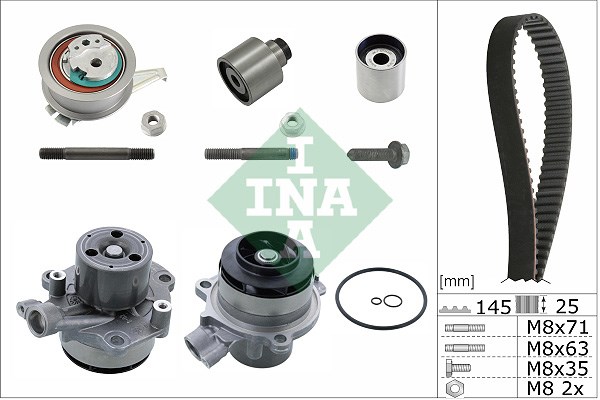 Water Pump & Timing Belt Kit INA 530065032